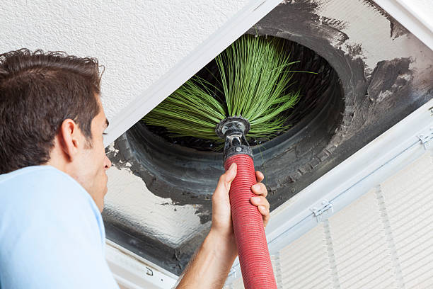 Best Home Air Vent Cleaning  in Moenkopi, AZ